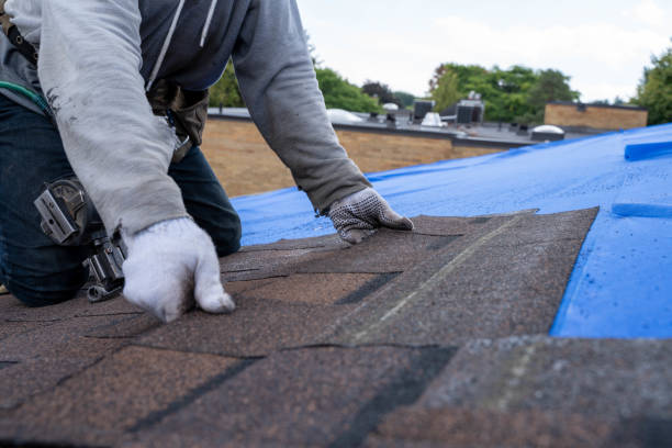 Best Roof Waterproofing Services  in Wrightsville, GA