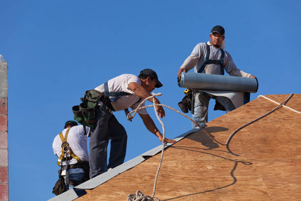 Best Roof Repair Specialists  in Wrightsville, GA