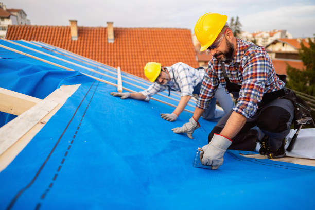 Best Metal Roofing Contractor  in Wrightsville, GA