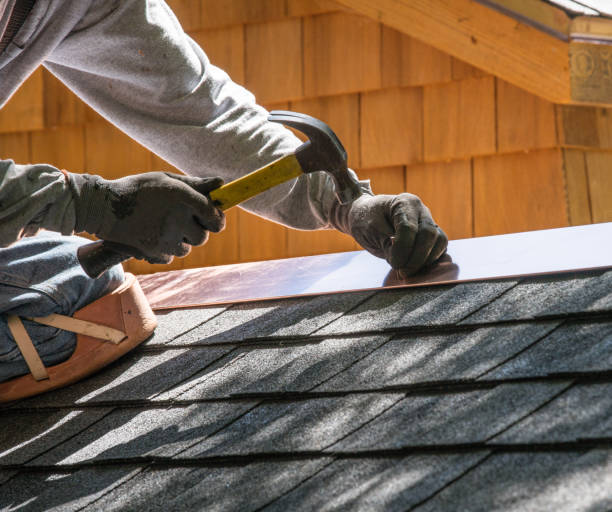 Best Roof Gutter Cleaning  in Wrightsville, GA